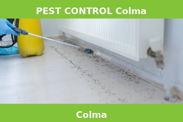 PEST CONTROL Colma
